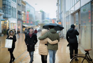 东北雨姐夫妻实控约30家企业