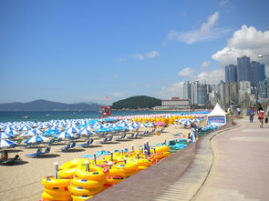 深圳八景之一中英街遭遇海水倒灌引发的淹没危机